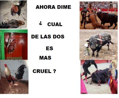 20081016224826-diferencias.jpg
